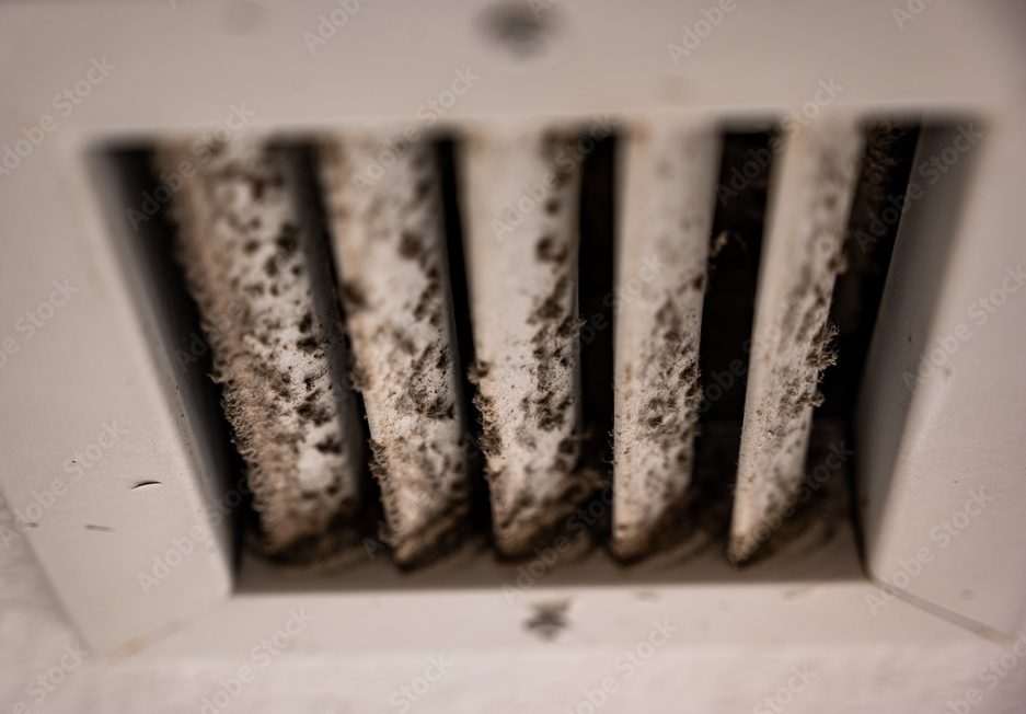 Subjective focus on lint and dirt particles on a ceiling air vent. Top sources of mold exposure.